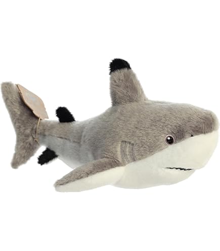 Amazon.co.jp: AQUA ぬいぐるみ マリン カメのノブユキくん S グリーン